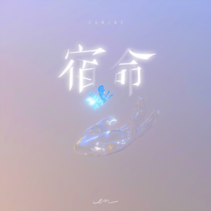 一道本在线视频
